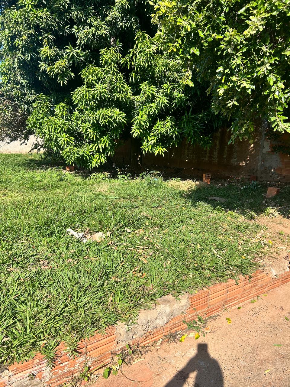 Terreno à venda