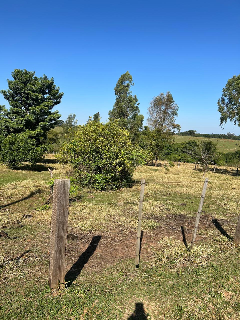 Chácara à venda